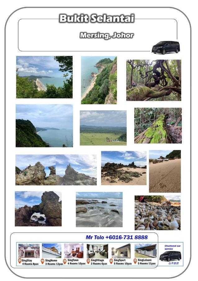 Singhome Holiday House Mersing Zewnętrze zdjęcie